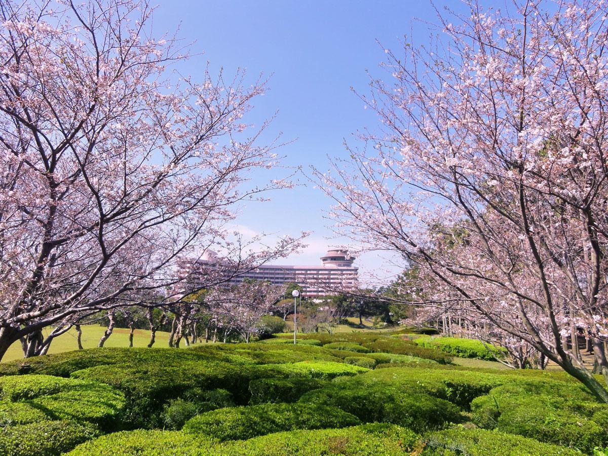 Ibusuki Iwasaki Hotel Eksteriør billede